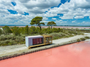 CABANE DU SAUNIER SYRIUS ETANG DU ROY